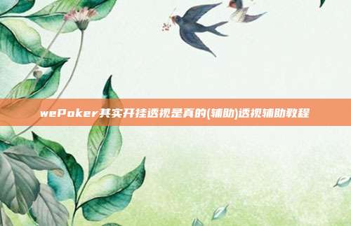 wePoker其实开挂透视是真的(辅助)透视辅助教程