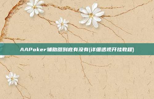 AAPoker辅助器到底有没有(详细透视开挂教程)