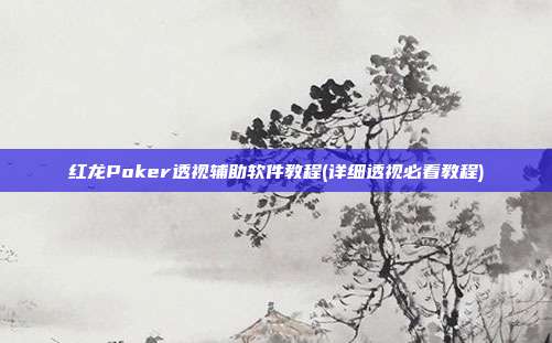 红龙Poker透视辅助软件教程(详细透视必看教程)