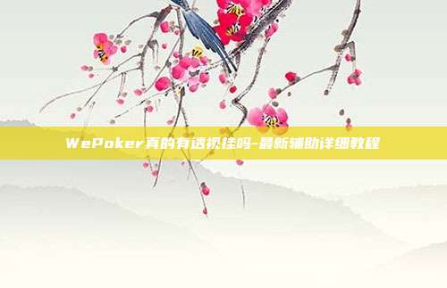 WePoker真的有透视挂吗-最新辅助详细教程