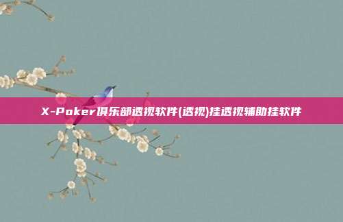 X-Poker俱乐部透视软件(透视)挂透视辅助挂软件