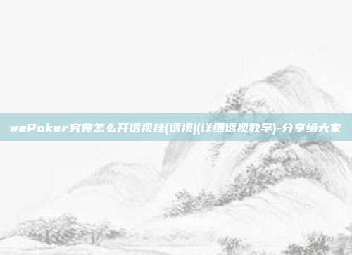 wePoker究竟怎么开透视挂(透视)(详细透视教学)-分享给大家