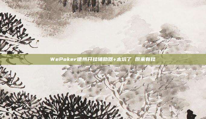 WePoker德州开挂辅助器+太坑了 原来有挂