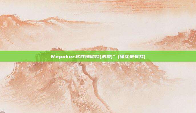 Wepoker软件铺助挂(透视)”(确实是有挂)