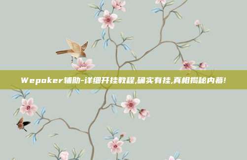 Wepoker辅助-详细开挂教程,确实有挂,真相揭秘内幕!