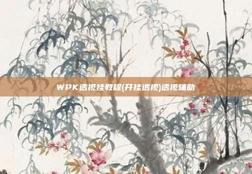 WPK透视挂教程(开挂透视)透视辅助