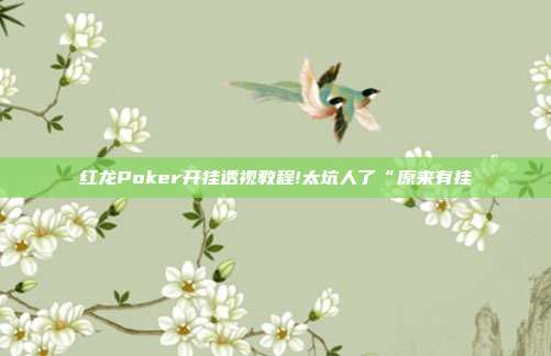 红龙Poker开挂透视教程!太坑人了“原来有挂