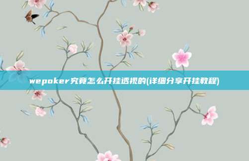 wepoker究竟怎么开挂透视的(详细分享开挂教程)