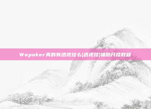 Wepoker真的有透视挂么(透视挂)辅助开挂教程