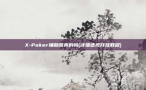 X-Poker辅助器真的吗(详细透视开挂教程)