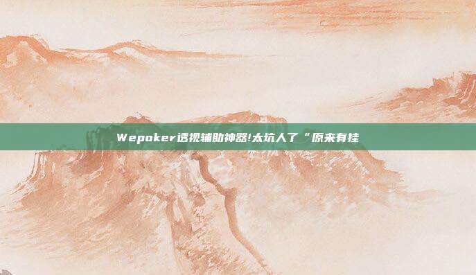 Wepoker透视辅助神器!太坑人了“原来有挂