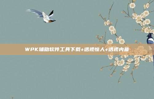 WPK辅助软件工具下载+透视惊人+透视内幕