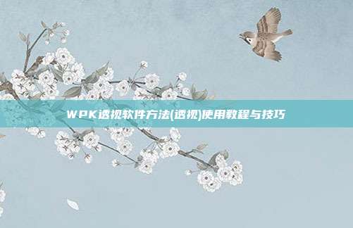 WPK透视软件方法(透视)使用教程与技巧