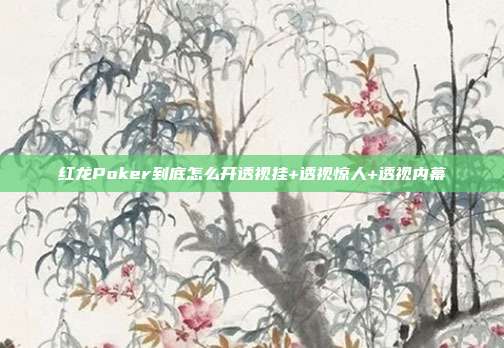 红龙Poker到底怎么开透视挂+透视惊人+透视内幕