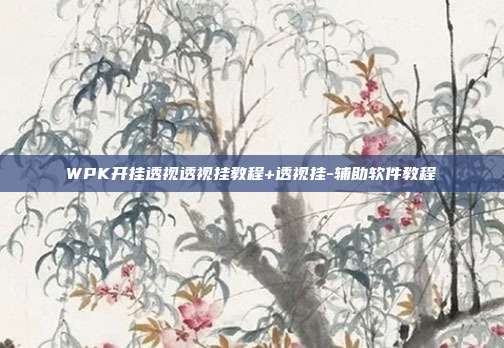 WPK开挂透视透视挂教程+透视挂-辅助软件教程