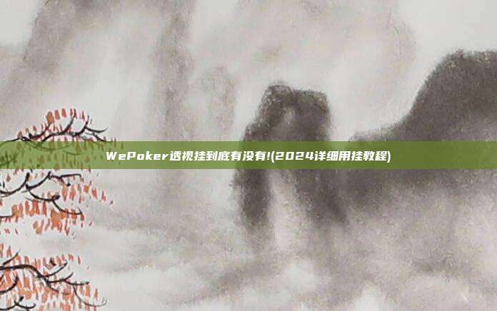 WePoker透视挂到底有没有!(2024详细用挂教程)