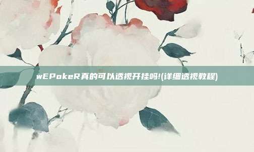 wEPokeR真的可以透视开挂吗!(详细透视教程)