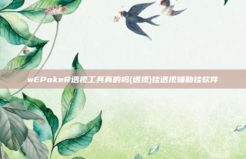 wEPokeR透视工具真的吗(透视)挂透视辅助挂软件