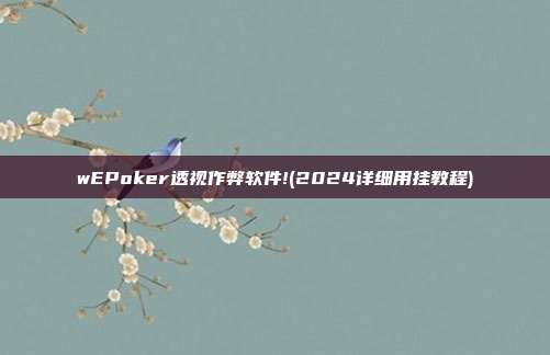 wEPoker透视作弊软件!(2024详细用挂教程)