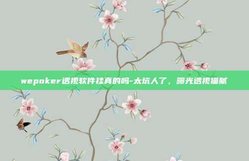 wepoker透视软件挂真的吗-太坑人了，曝光透视猫腻