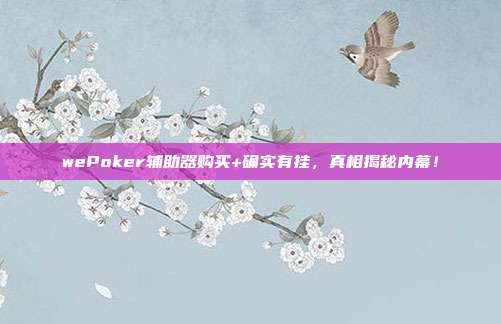 wePoker辅助器购买+确实有挂，真相揭秘内幕！