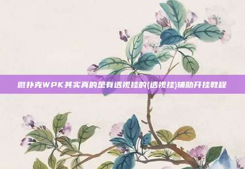 微扑克WPK其实真的是有透视挂的(透视挂)辅助开挂教程