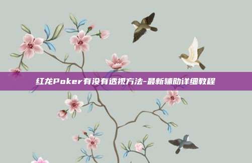 红龙Poker有没有透视方法-最新辅助详细教程