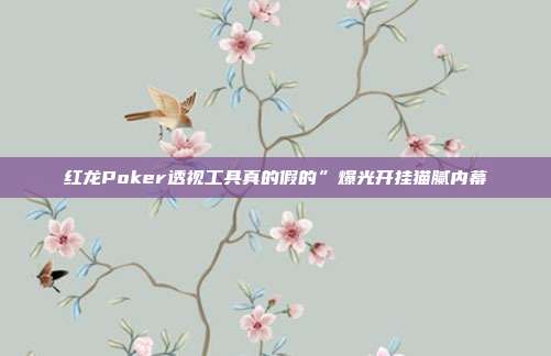 红龙Poker透视工具真的假的”爆光开挂猫腻内幕