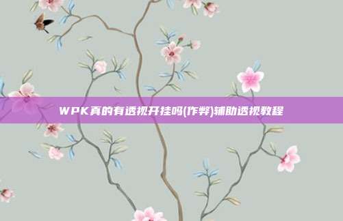 WPK真的有透视开挂吗(作弊)辅助透视教程