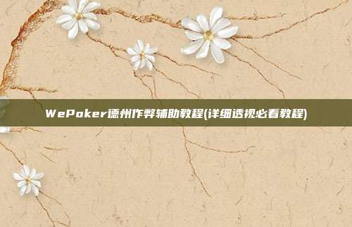 WePoker德州作弊辅助教程(详细透视必看教程)