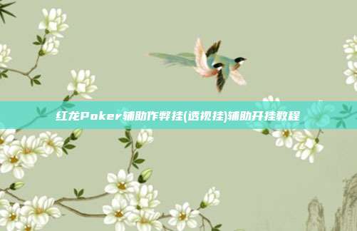 红龙Poker辅助作弊挂(透视挂)辅助开挂教程