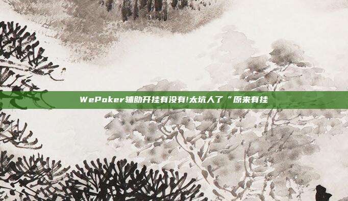 WePoker辅助开挂有没有!太坑人了“原来有挂