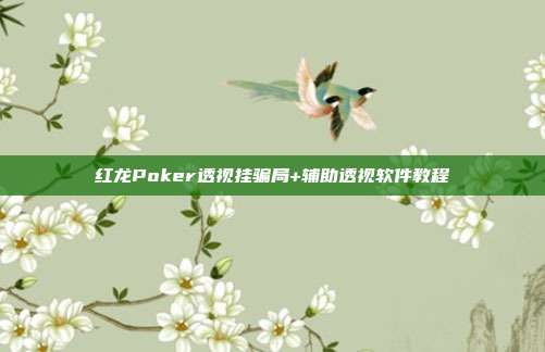 红龙Poker透视挂骗局+辅助透视软件教程