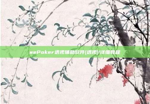 wePoker透视辅助软件(透视)!详细教程