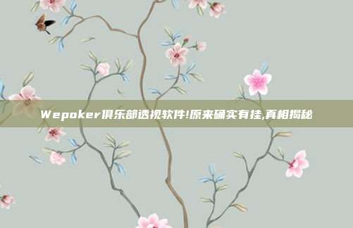 Wepoker俱乐部透视软件!原来确实有挂,真相揭秘