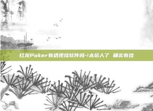 红龙Poker有透视挂软件吗-!太坑人了 确实有挂