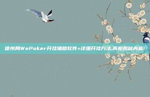 德州局WePoker开挂辅助软件+详细开挂方法,真相揭秘内幕!