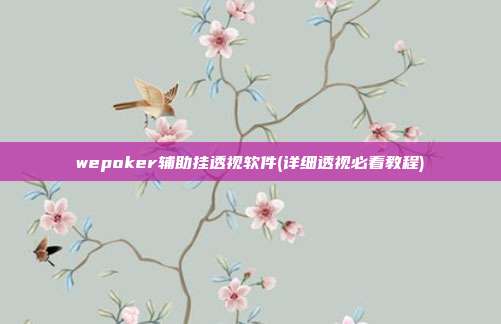 wepoker辅助挂透视软件(详细透视必看教程)