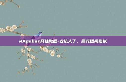 AApoker开挂教程-太坑人了，曝光透视猫腻