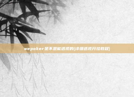 wepoker是不是能透视的(详细透视开挂教程)