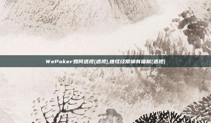 WePoker如何透视(透视),难怪经常输有猫腻(透视)