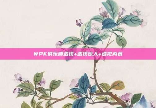 WPK俱乐部透视+透视惊人+透视内幕