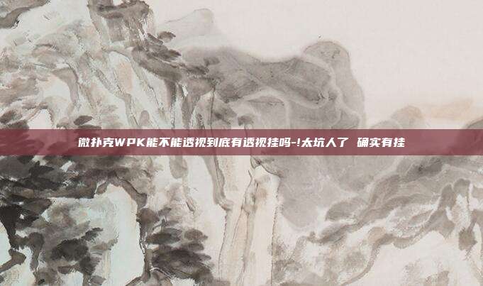 微扑克WPK能不能透视到底有透视挂吗-!太坑人了 确实有挂