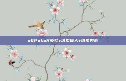 wEPokeR外挂+透视惊人+透视内幕