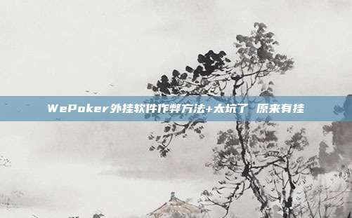 WePoker外挂软件作弊方法+太坑了 原来有挂