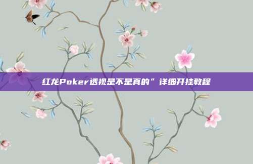 红龙Poker透视是不是真的”详细开挂教程