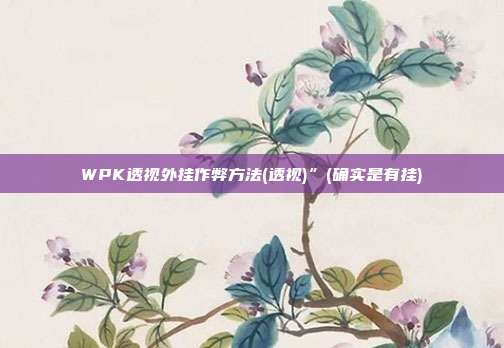 WPK透视外挂作弊方法(透视)”(确实是有挂)