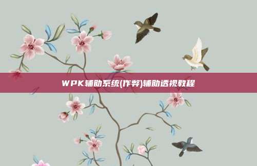 WPK辅助系统(作弊)辅助透视教程