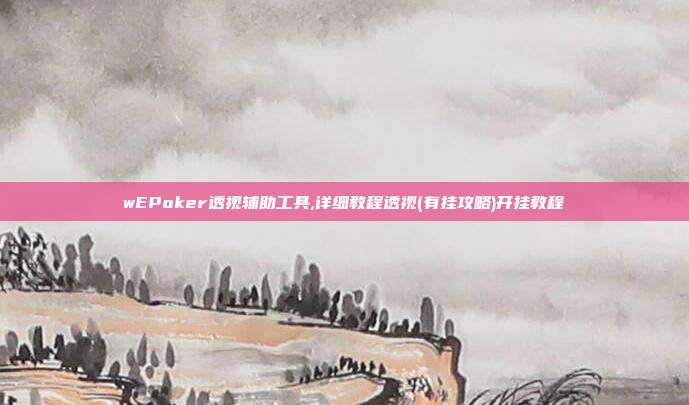 wEPoker透视辅助工具,详细教程透视(有挂攻略)开挂教程