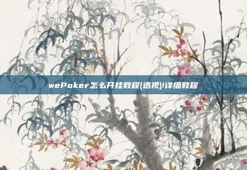 wePoker怎么开挂教程(透视)!详细教程